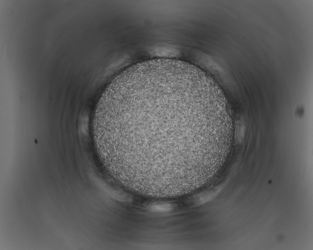 X0000090860263200708241905