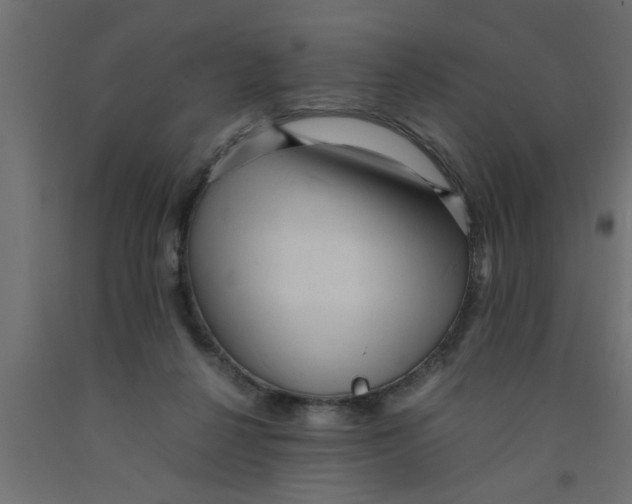 X0000090860264200708241905