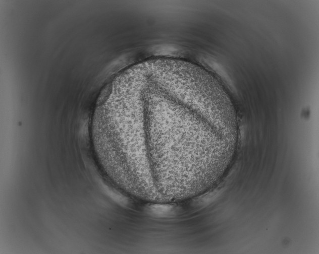 X0000090860265200708241905