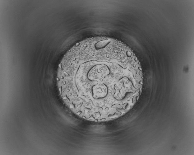 X0000090860266200708241905