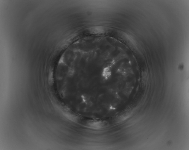 X0000090860267200708241905