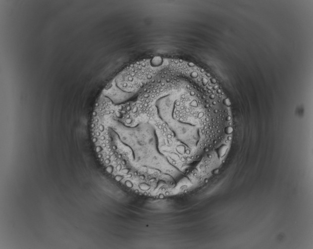 X0000090860269200708241905