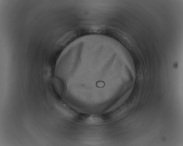 X0000090860270200708241905