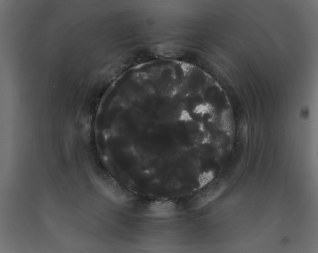 X0000090860271200708241905