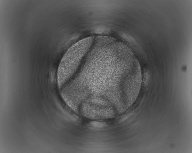 X0000090860272200708241905