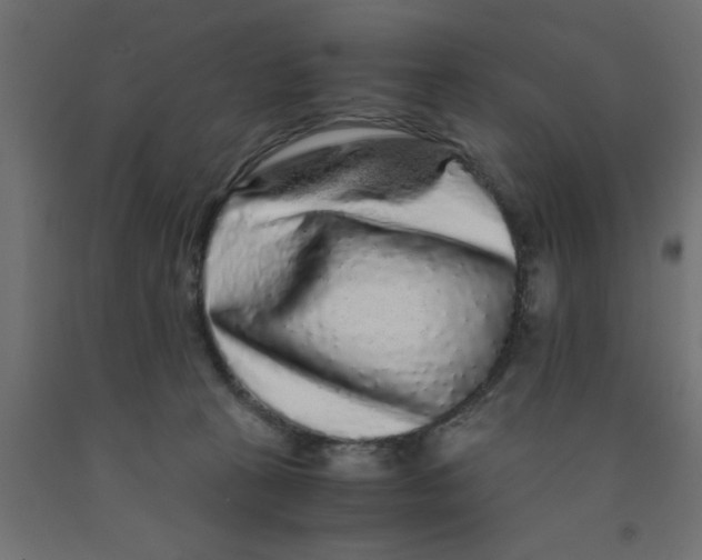 X0000090860273200708241905