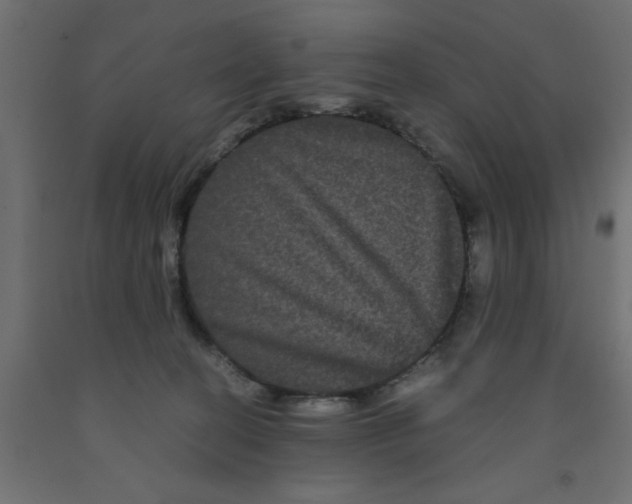 X0000090860274200708241905