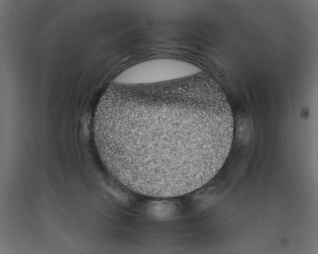 X0000090860275200708241905