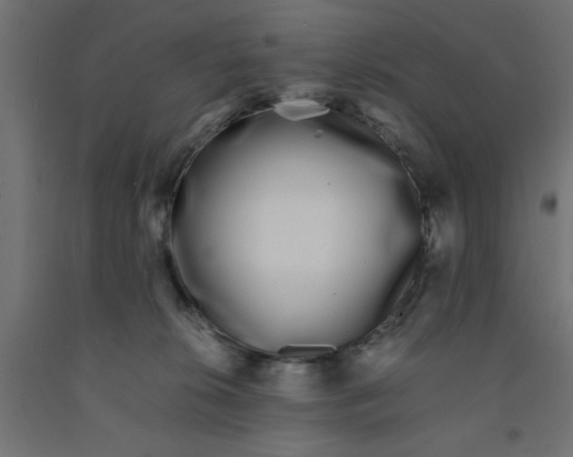 X0000090860276200708241905