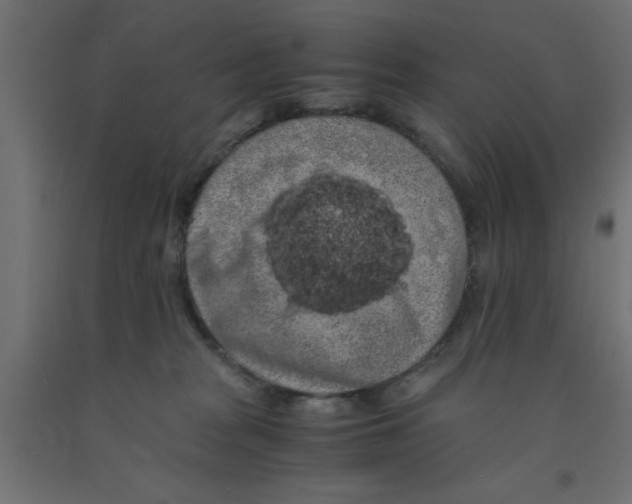 X0000090860277200708241905