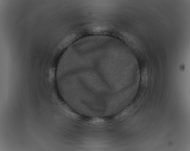 X0000090860278200708241905