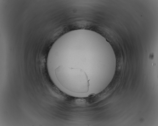 X0000090860279200708241905