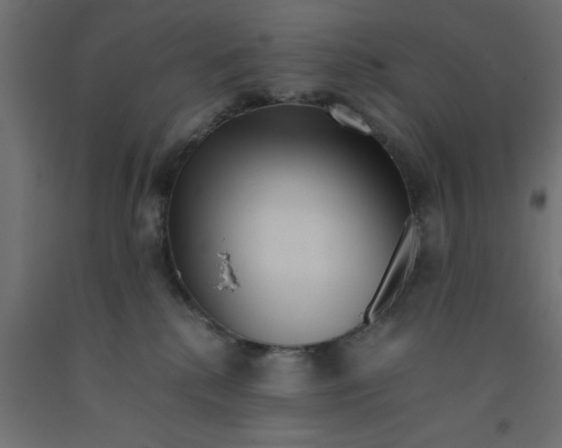 X0000090860280200708241905