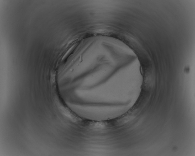 X0000090860282200708241905