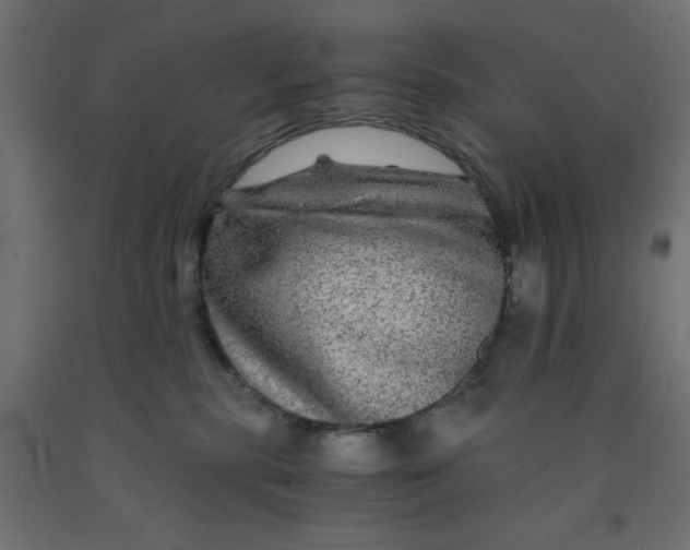 X0000090860283200708241905