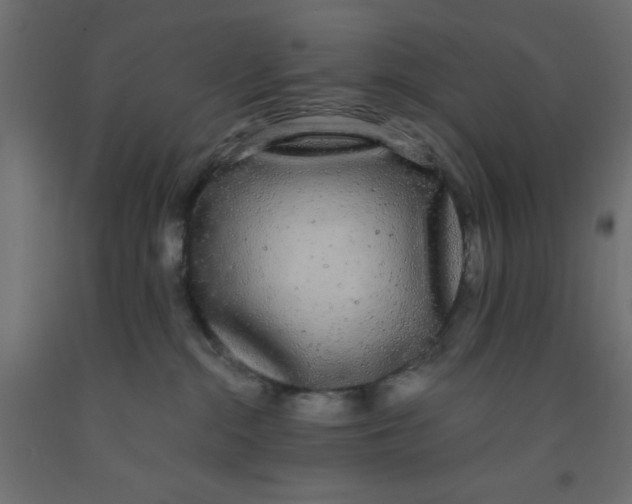 X0000090860284200708241905