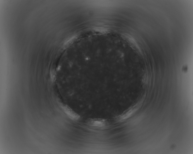 X0000090860285200708241905