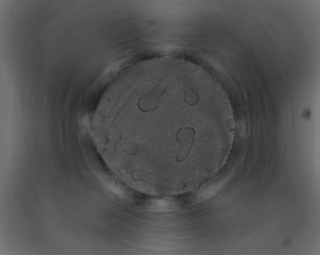 X0000090860286200708241905