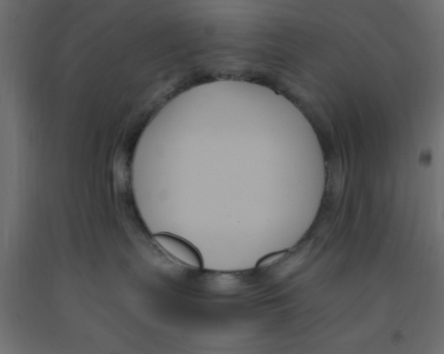 X0000090860287200708241905