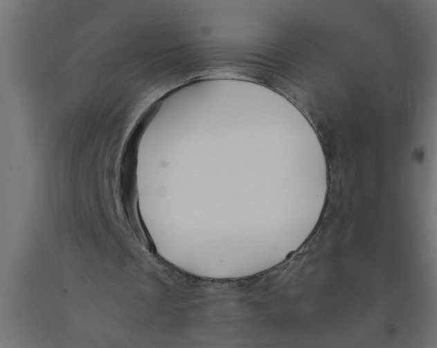 X0000090860289200708241905