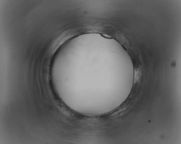 X0000090860291200708241905