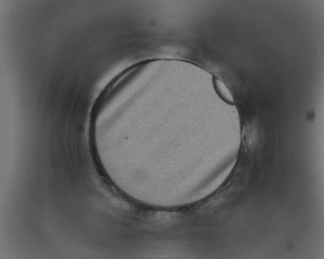 X0000090860292200708241905