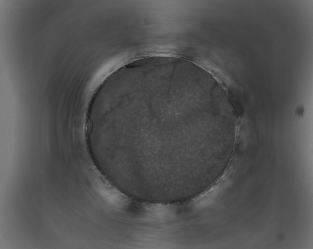 X0000090860293200708241905