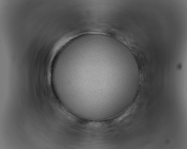 X0000090860294200708241905