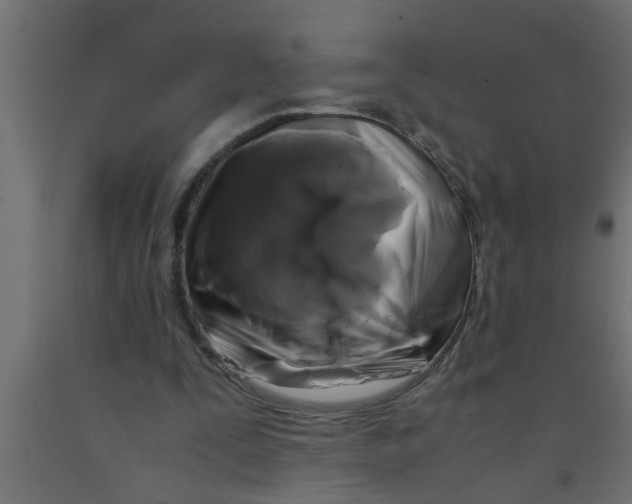 X0000090860295200708241905