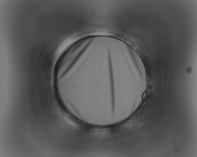 X0000090860296200708241905