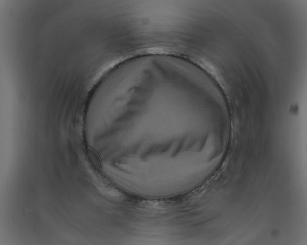 X0000090860297200708241905