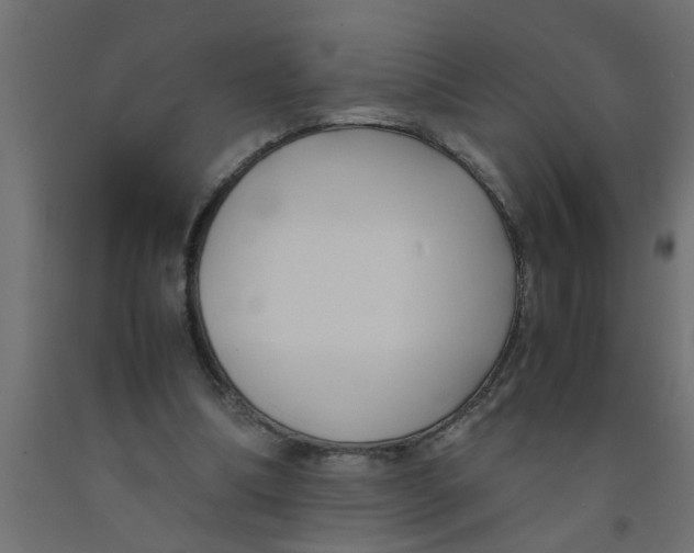 X0000090860298200708241905