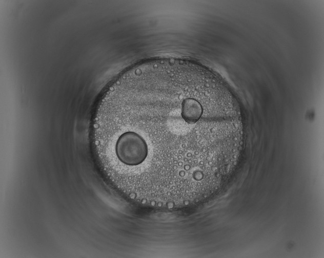 X0000090860299200708241905