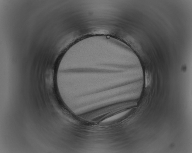 X0000090860300200708241904