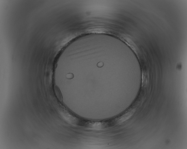 X0000090860301200708241904