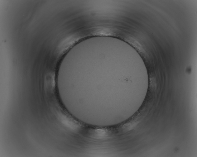 X0000090860302200708241904