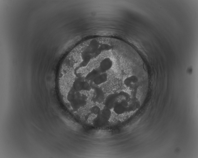 X0000090860303200708241904