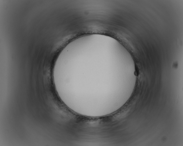 X0000090860306200708241904