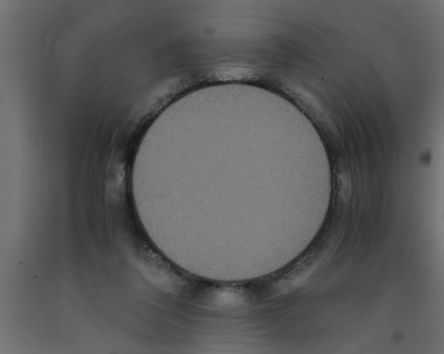 X0000090860308200708241904