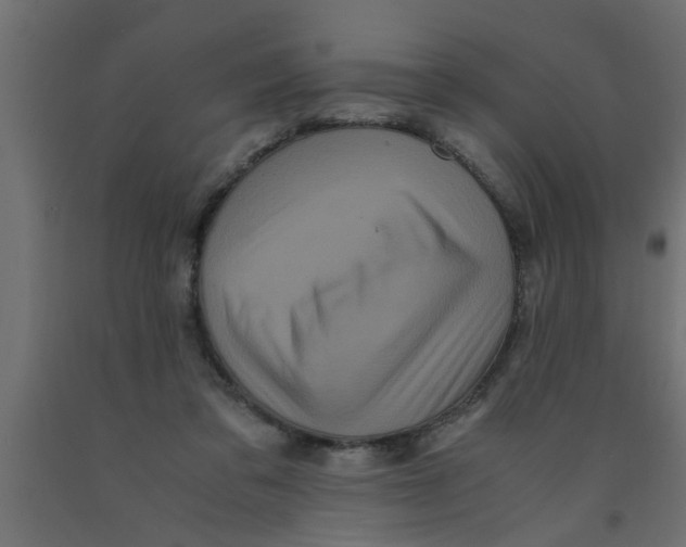 X0000090860309200708241904