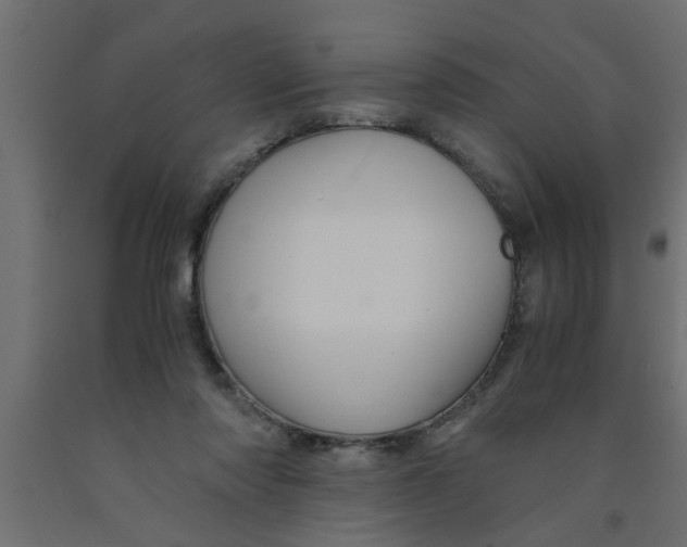 X0000090860310200708241904