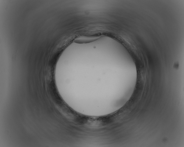 X0000090860311200708241904