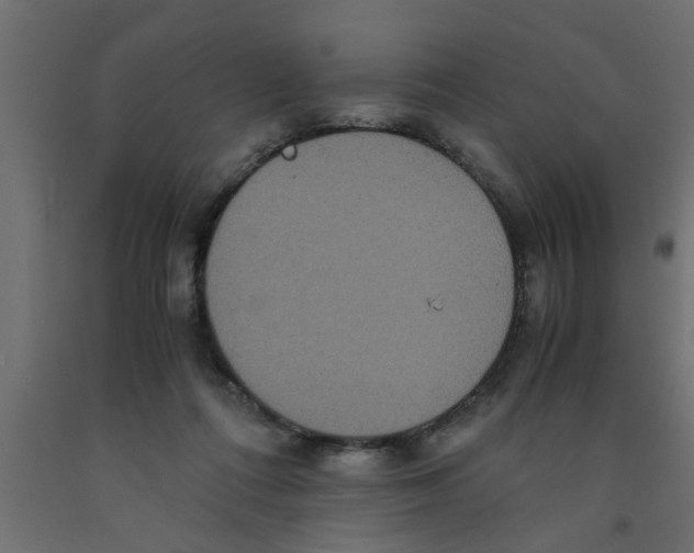 X0000090860312200708241904