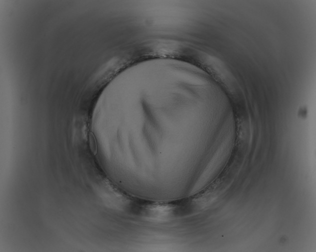 X0000090860313200708241904