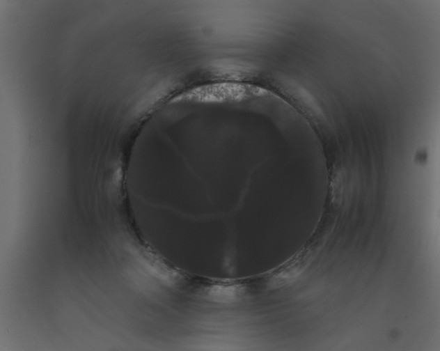 X0000090860314200708241904