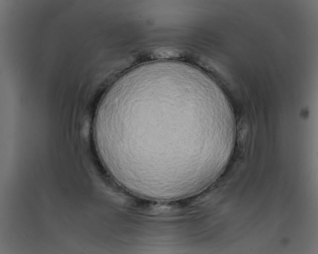 X0000090860315200708241904