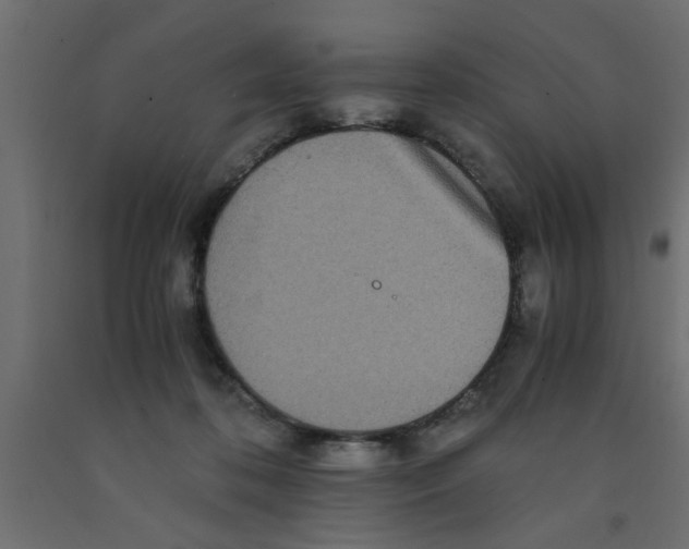 X0000090860316200708241904