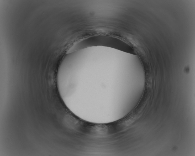 X0000090860317200708241904