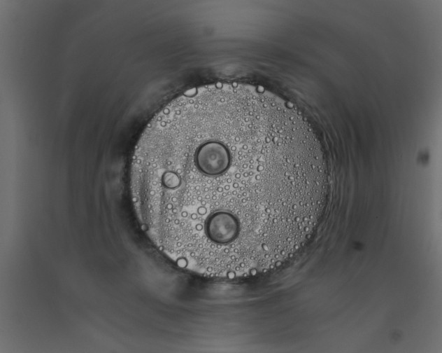 X0000090860319200708241904