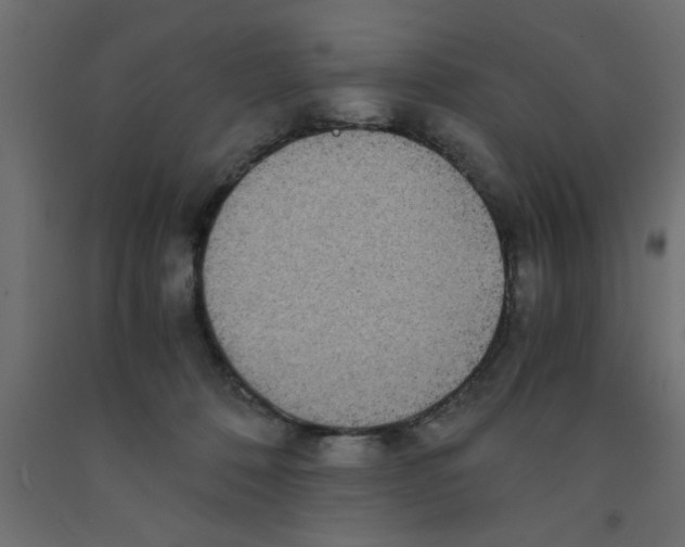 X0000090860320200708241904